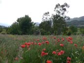 lanuirie_20070520_10