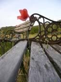 lanuirie_20070520_75