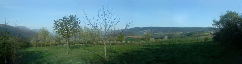 20090413_083600_lanuirie_pan