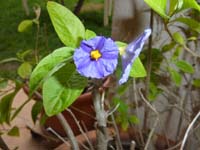 20101004_094548_la_nuirie