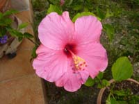 20101004_094628_la_nuirie