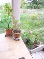 20101004_094654_la_nuirie