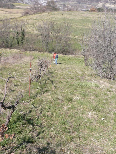 20070328_la_nuirie_028