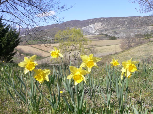 20070328_la_nuirie_041