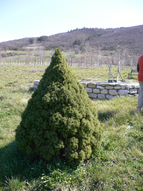 20070328_la_nuirie_042