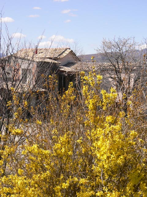 20070328_la_nuirie_050