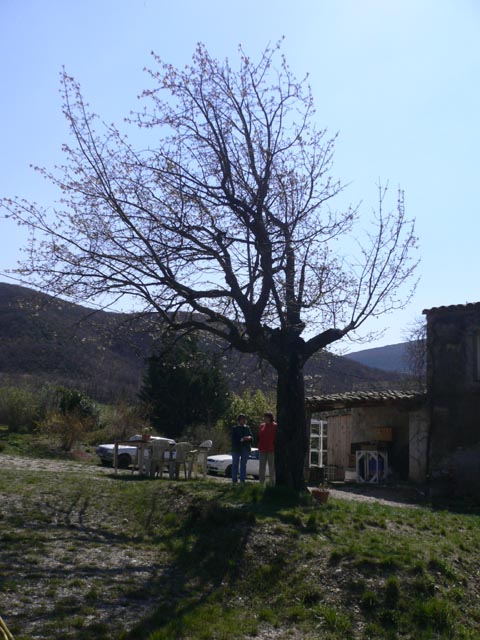 20070328_la_nuirie_068