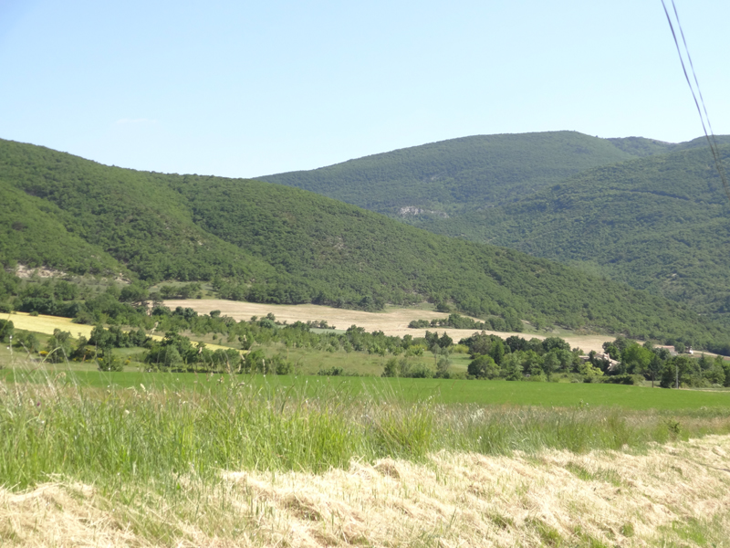b_06_20130614_164042_nuirie